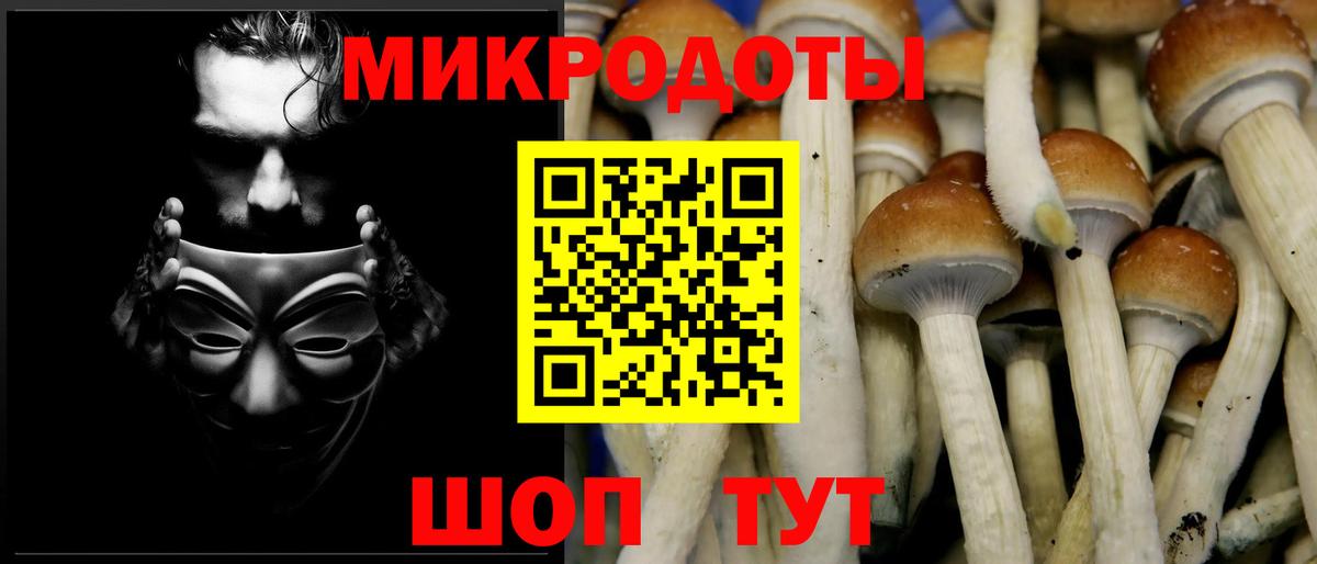 Галлюциногенные грибы ЛСД  Вход с VPN  купить  цена  Йошкар-Ола 